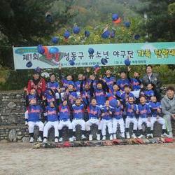 성동구유소년야구단